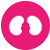 Pink icon with kidney graphic inside.